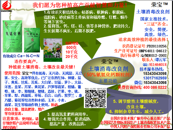 榮寶（氰氨化鈣）顆粒殺菌劑，土壤消毒、緩釋氮鈣營(yíng)養(yǎng)、肥料增效、土壤改良四效合一，殺滅根結(jié)線(xiàn)蟲(chóng)，防治根腫病、根腐病、枯萎病、流膠病、蓮藕腐敗病等土傳病害，殺滅福壽螺、釘螺等地下害蟲(chóng)，解決連作障礙